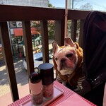 Hamburger Steak Senmon Ten IZUTSUYA