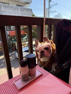 Hamburger Steak Senmon Ten IZUTSUYA