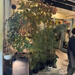 Flowers&Spanish Sonrisa - 