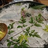 博多もつ鍋おおやま 本店