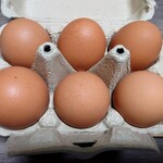 うどん箱太郎 - 