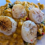 ベジバル チバットリア - ウニクリームリゾットは炙り帆立もたっぷり✨