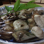 日の出 - 2014.05　６年物のハマグリ♡