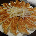 石松餃子 - 餃子中（１５個）