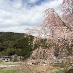 虎屋 壺中庵 - 春　（農家の地主のおじいさんに写真撮影許諾済）