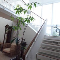 オーベルジュ サウステラス - 