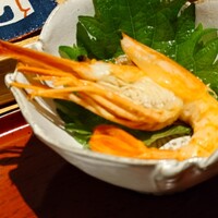 すし屋のさい藤 札幌本店 - 