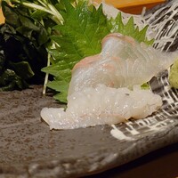 すし屋のさい藤 札幌本店 - 