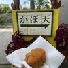 かぼ天の店なかそね