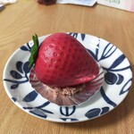 フジフランス - 