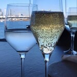 International cuisine subzero - 