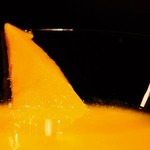 バー ル・サロン - マンゴーのカクテル1405