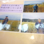 志美津や - お品書き