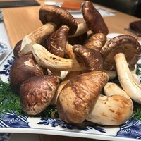肉割烹 岡田前 - 