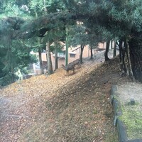 メインダイニングルーム 三笠 - 