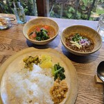 スパイスカフェ - ライス+副菜4種、カレー2種（ラムキーマとココナッツ）
