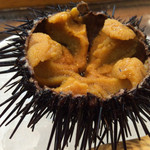 寿司栄 - 紫ウニ