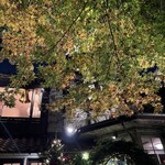 シェ松尾・松濤レストラン - 