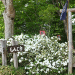 奥高尾 細田屋 - 