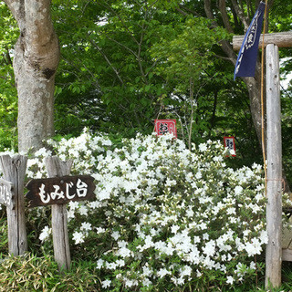 奥高尾 細田屋_2