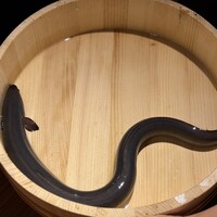 炭焼 うな富士 有楽町店 - 