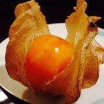 広尾 一会 - ほおずき