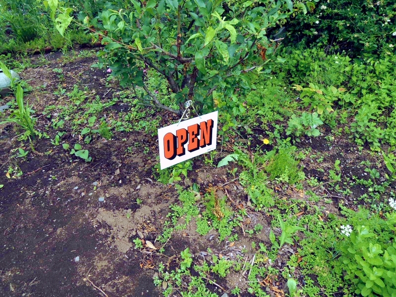 納屋珈琲 ひなた name=