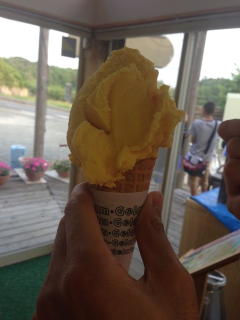 ジェラートｇ５０１（ジェラートジーゴーマルイチ） - 須賀川（ジェラート・アイスクリーム）の写真