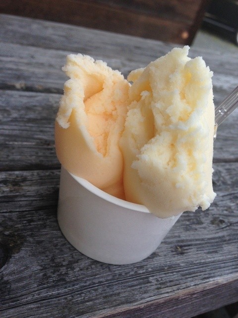 ジェラートｇ５０１（ジェラートジーゴーマルイチ） - 須賀川（ジェラート・アイスクリーム）の写真