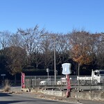 割烹 一の矢 - 防災研前のカエデも今年の営業を終了した