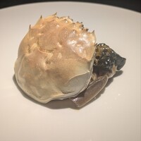 伊ざき - 酔っ払い蟹