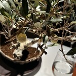 El Celler de Can Roca - 