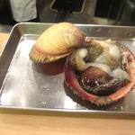 鮨 村上二郎 - トリ貝です！