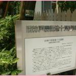 TOOTH TOOTH maison15th - 