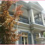 TOOTH TOOTH maison15th - 