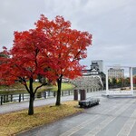 海老亭別館 - 【番外編】富山城址周辺写真
