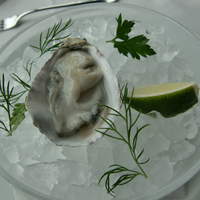 Fish Bank TOKYO - 