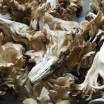 渋田産業 - お買い得袋５００円でこんなに