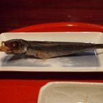 草喰 なかひがし - うるめ鰯干し