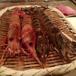 鮨 銀座 おのでら - ボタン海老と車海老