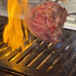 焼肉ホルモン 肉五郎 横丁店  - 