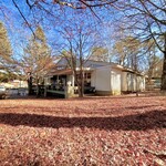 ペーパームーン - 