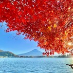 ペーパームーン - 河口湖からの富士