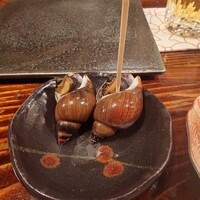 江戸心 山ぼうし - 