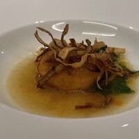 SCALAE - 