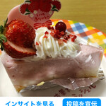 お菓子の家 モンサンミッシェル - 