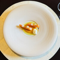 L'Arbre - 