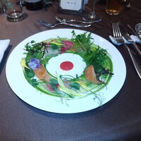 LAZOR GARDEN DINING - 