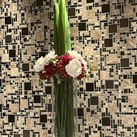 ブラン ルージュ - 