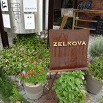 ZELKOVA - 緑いっぱいのお店なんですよ